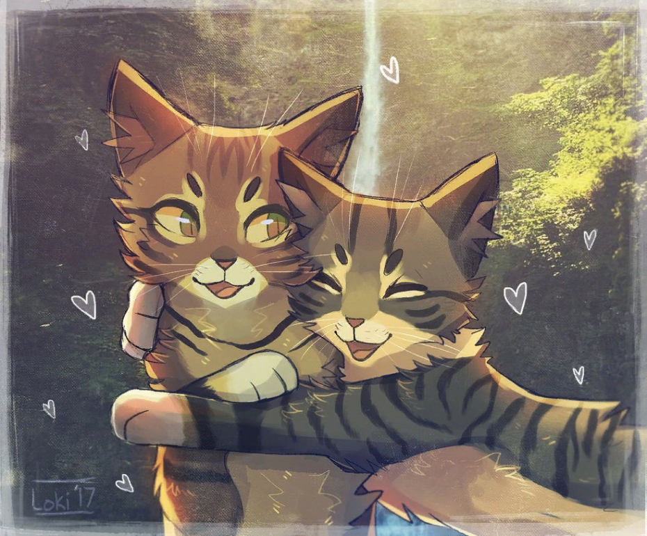Аниме коты Воители любовь