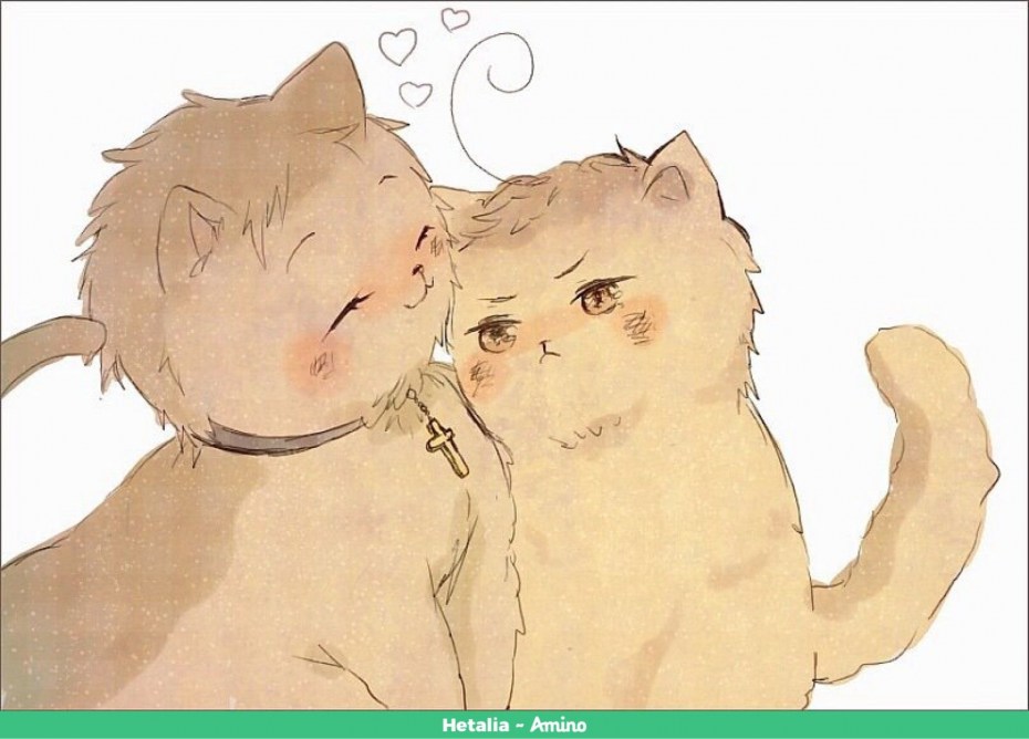 Котики любовь аниме