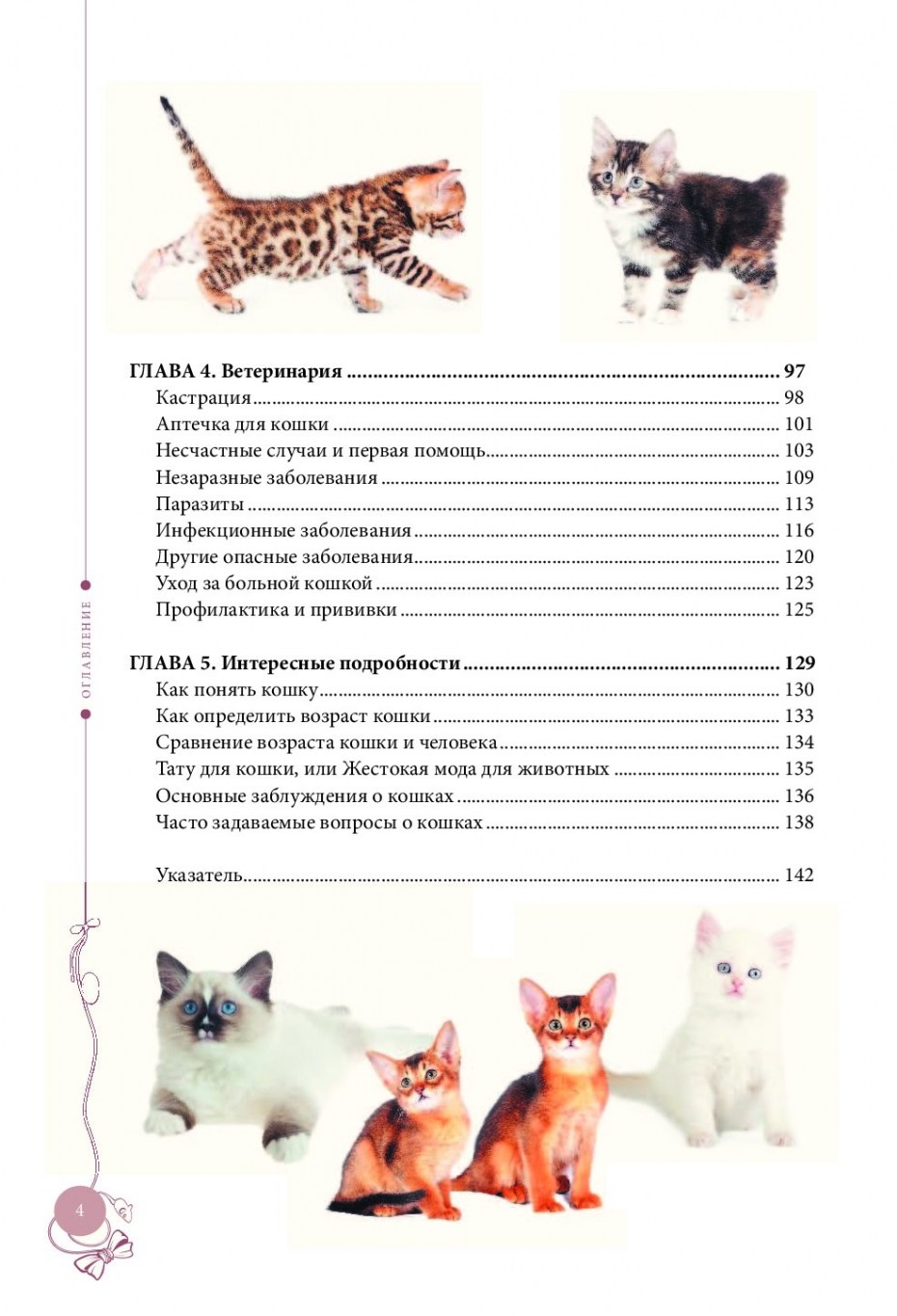 Как определить Возраст котенка