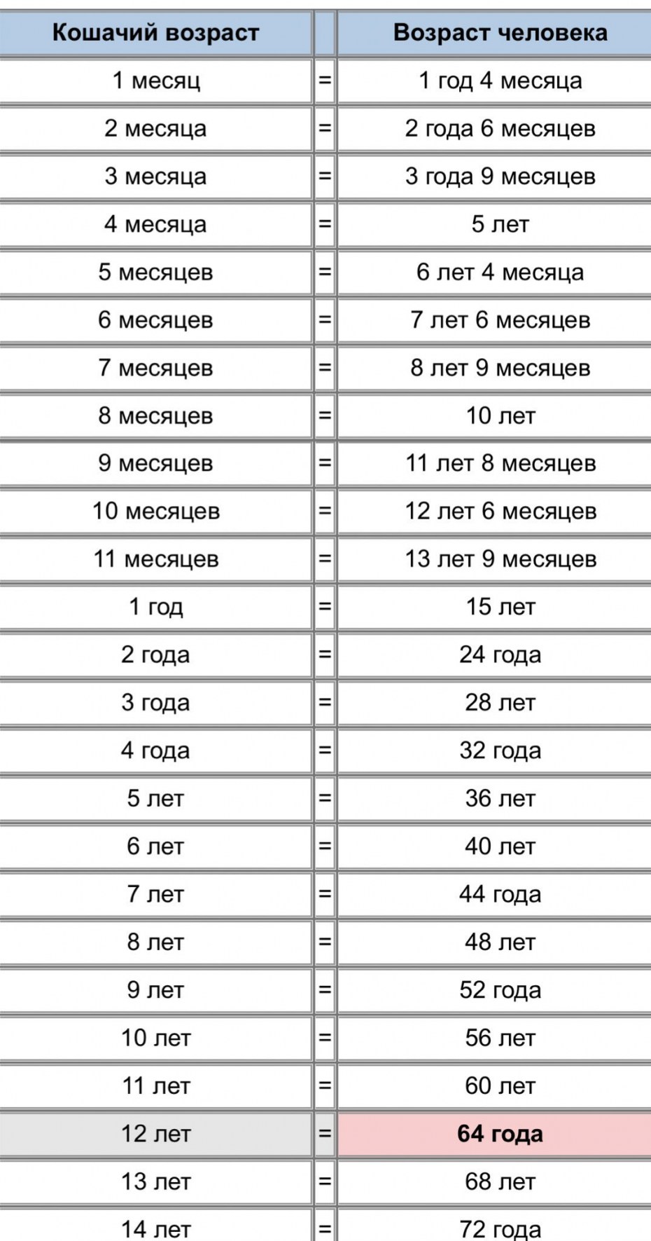 Сколько лет кошке по человеческим меркам таблица
