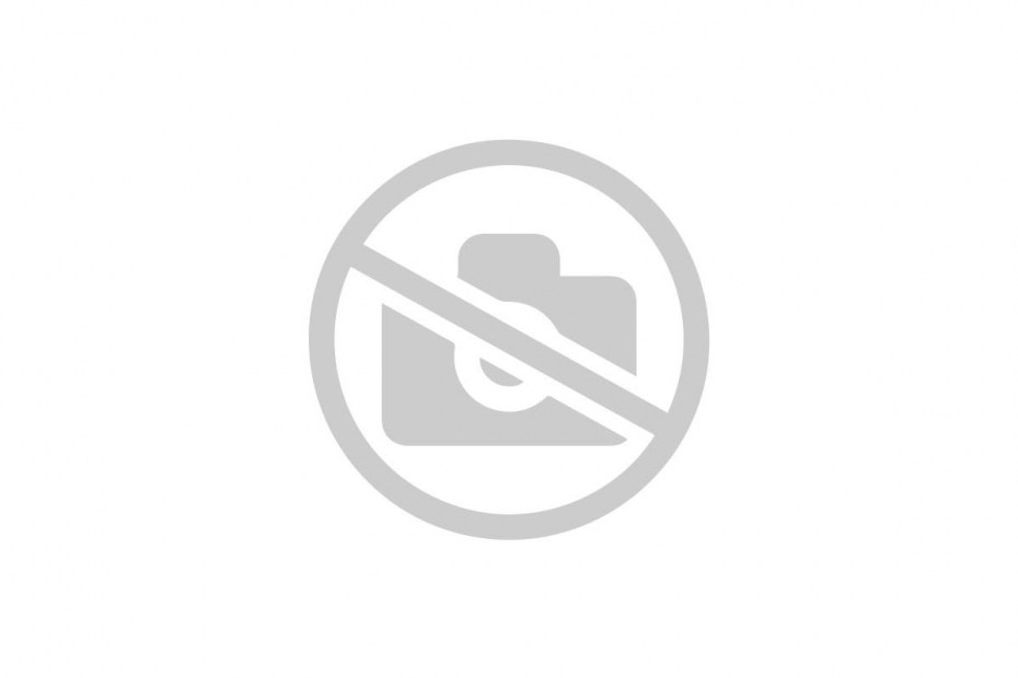 Miele edw8303