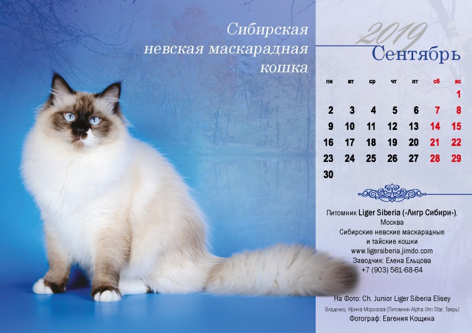 Имена для Невских маскарадных