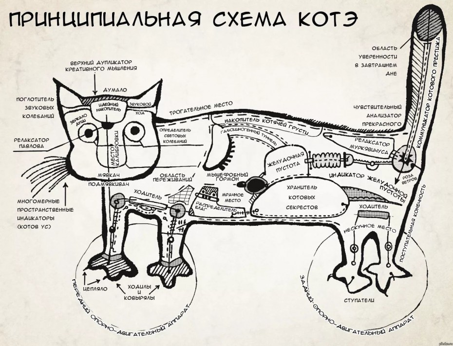 Схема кота