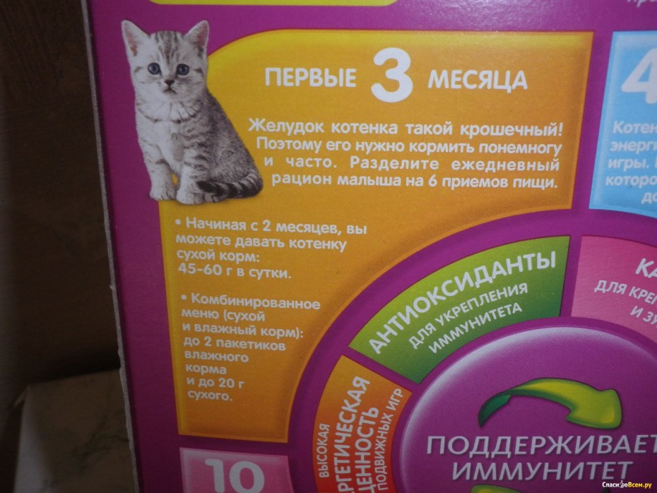 Корма для котенка 3 месяца