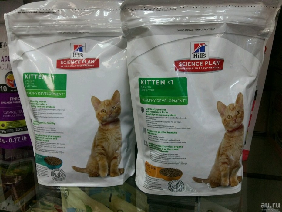 Hills корм для котят