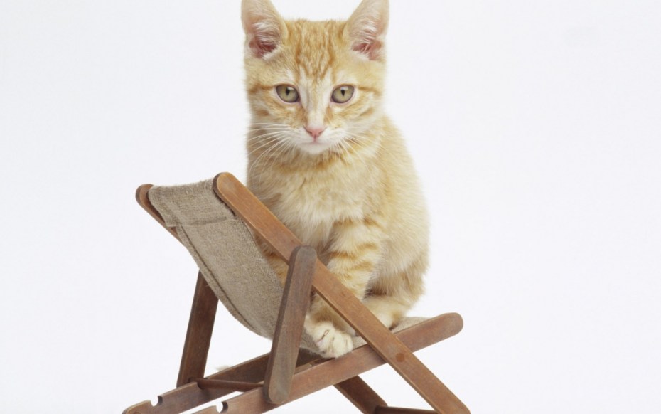 Табурет кот