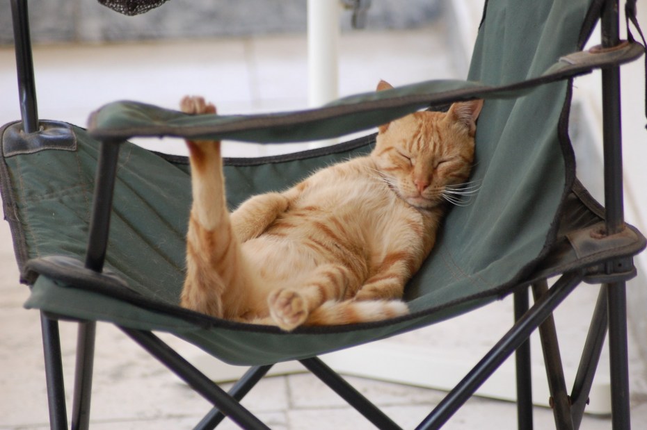 Кот отдыхает