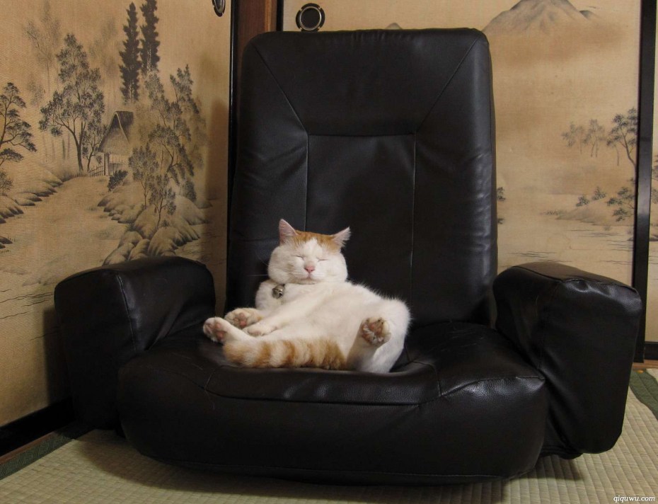 Кот отдыхает