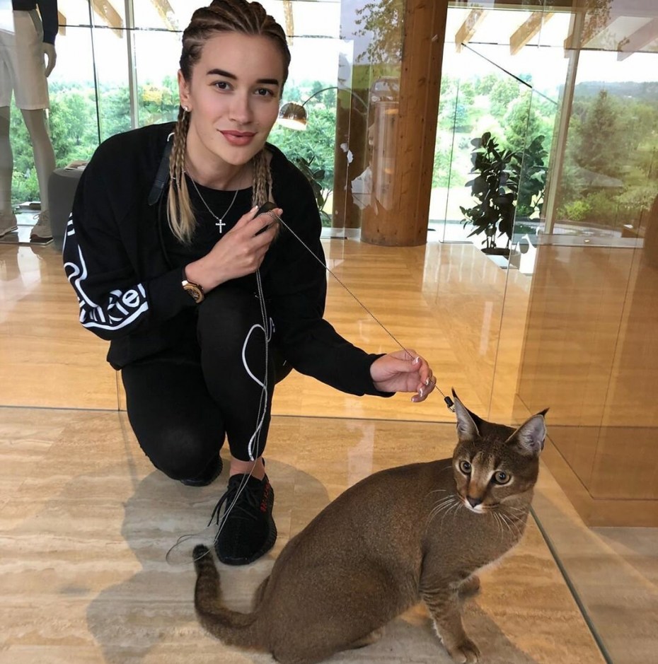 Кошка чаузи Тимати