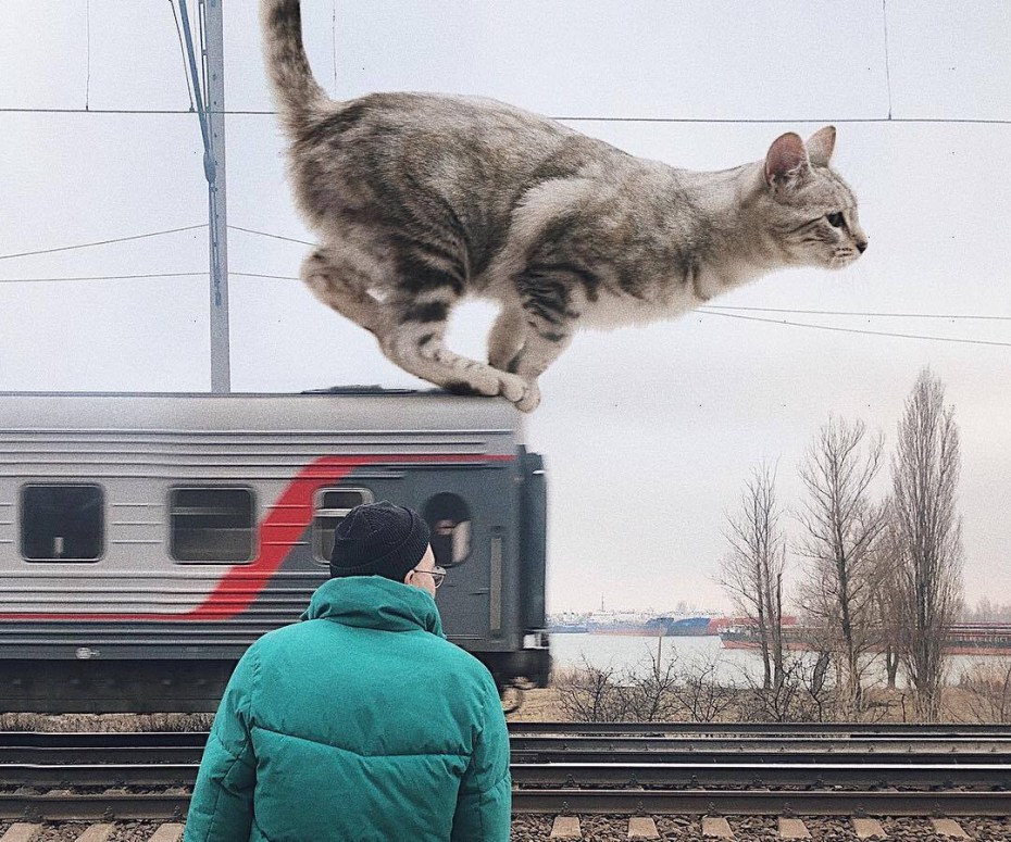 Гигантский кот поезд
