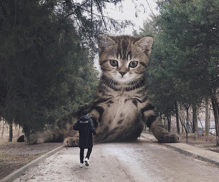 Андрей Щербак художник коты