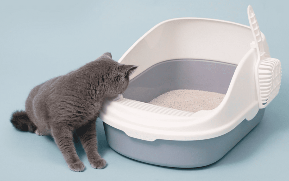 Лоток для кошек Xiaomi Semi-open Cat