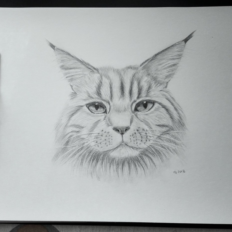 Срисовать кота майкуна