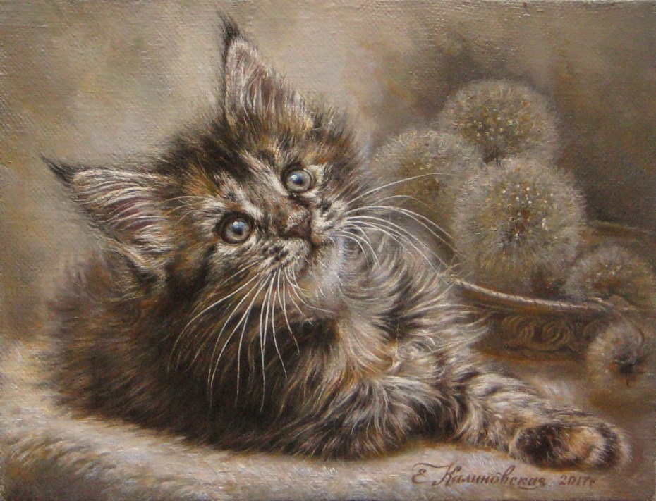 Мейн кун рисунок