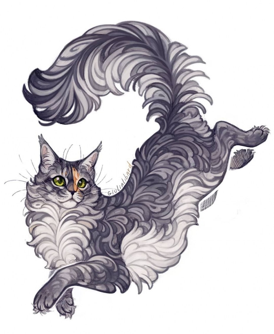 Коты Воители раскраска