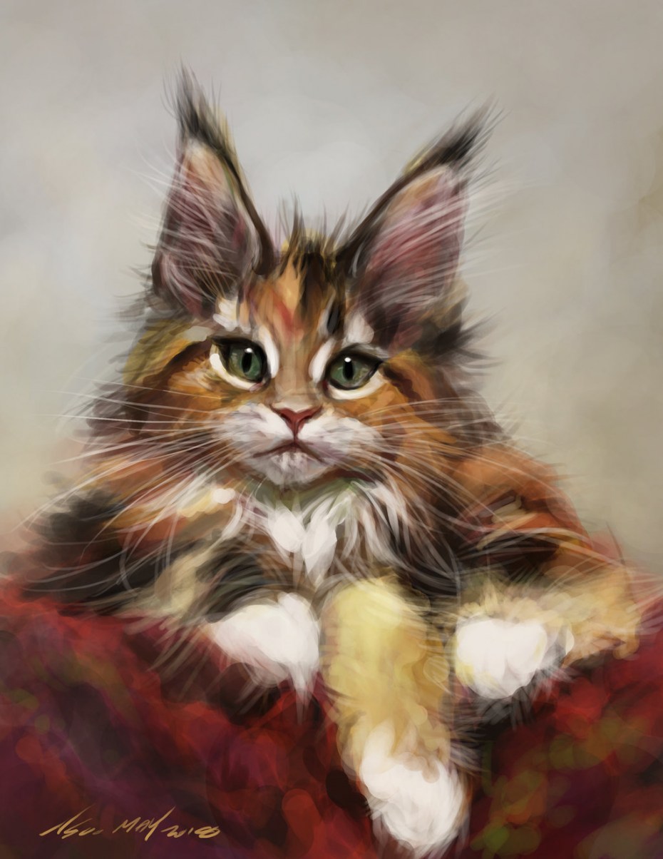 Котёнок Мейн кун арт