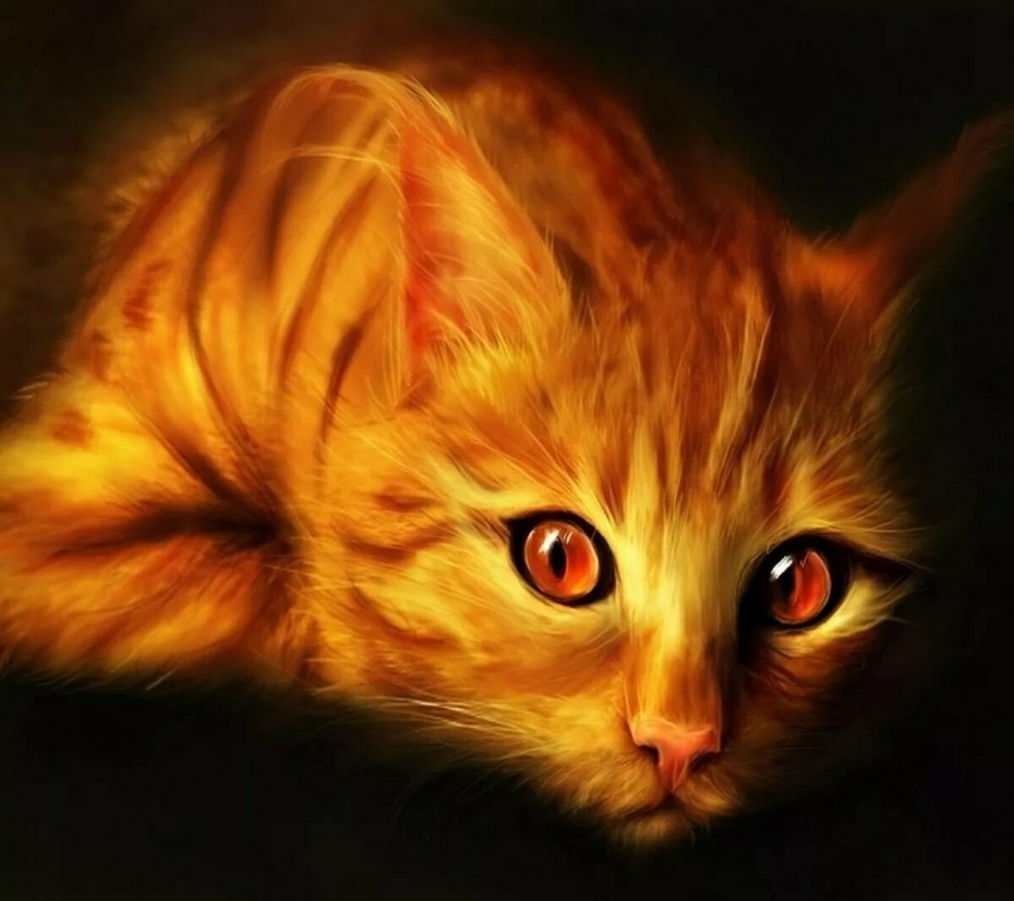 Красивые коты