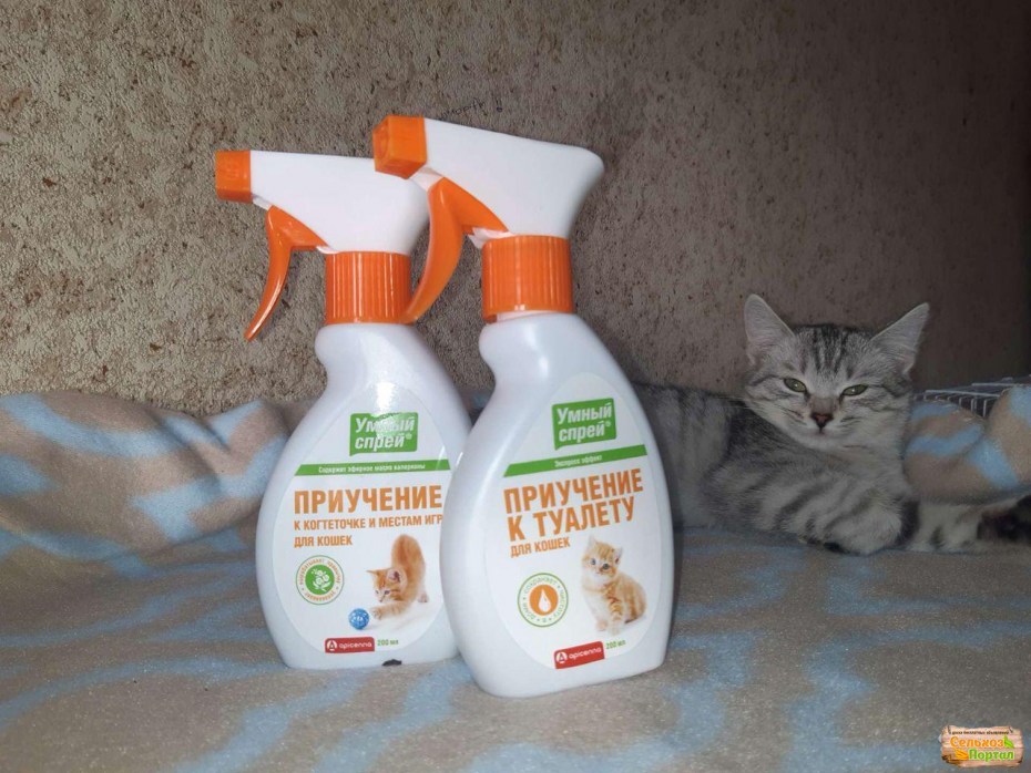 Капли для приучения кошки к лотку