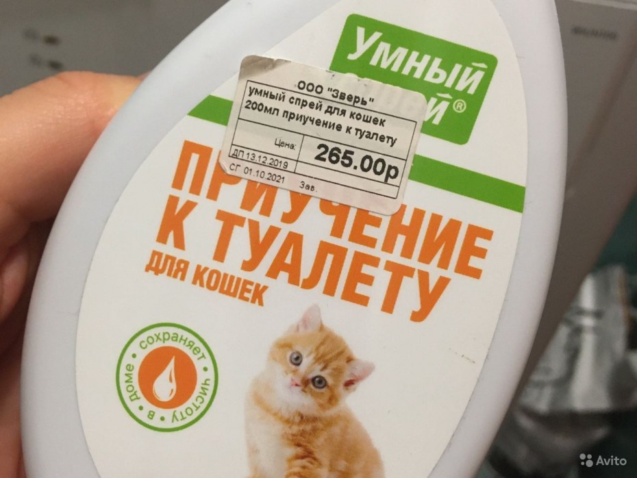 Приучение котенка к лотку Пермь