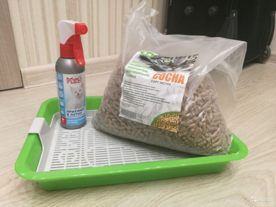Спрей для лотка котёнка