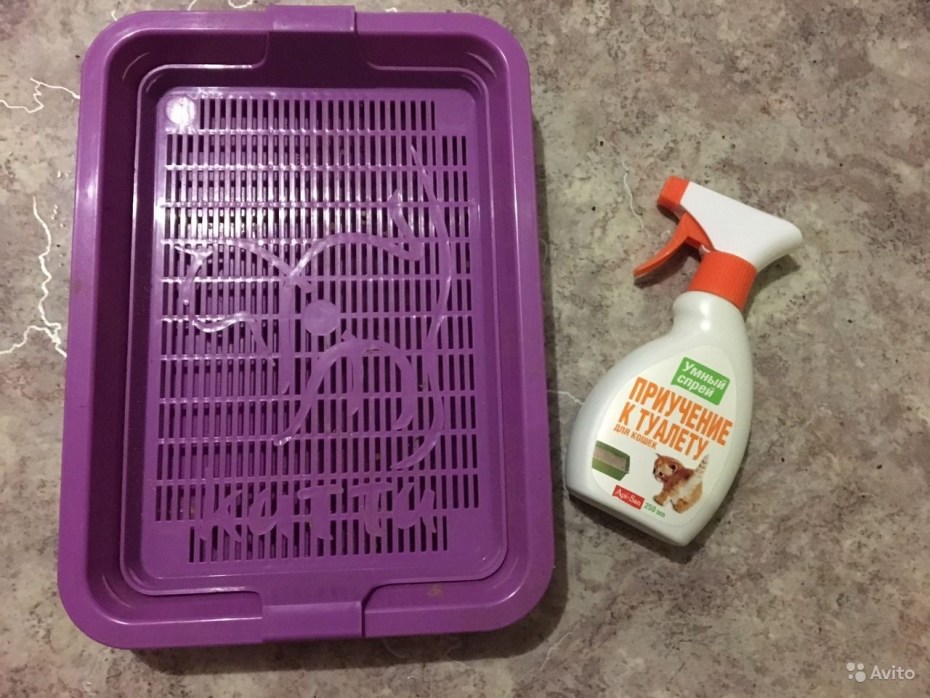 Спрей для лотка котёнка