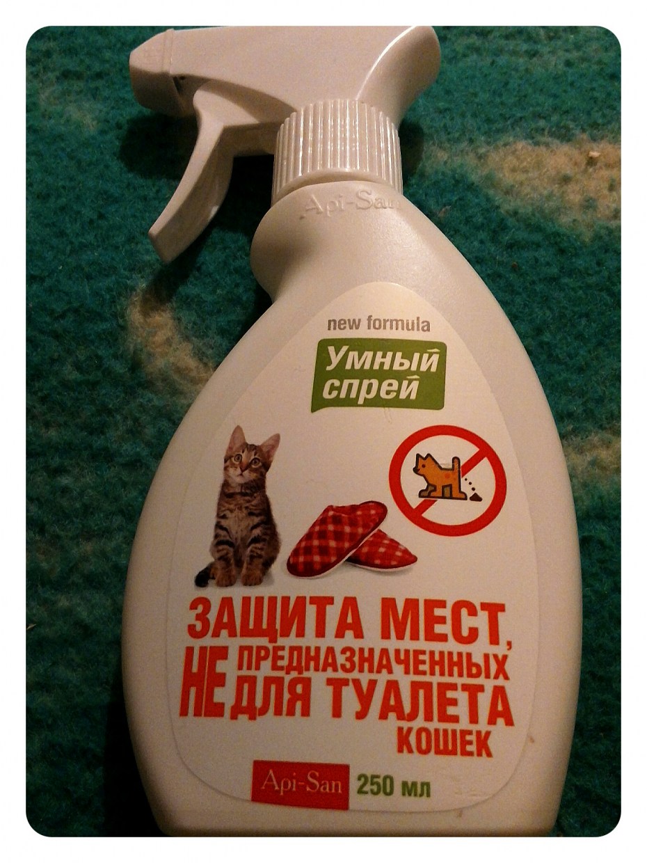 Умный спрей для кошек
