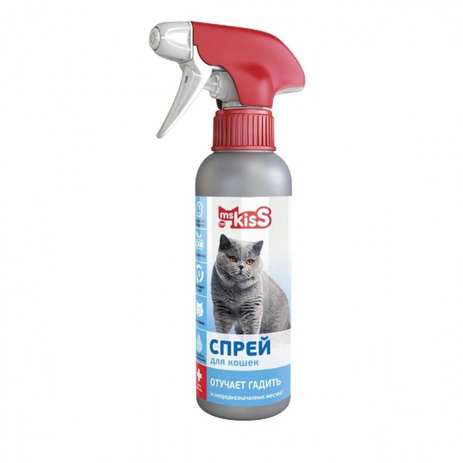Лоток для котят