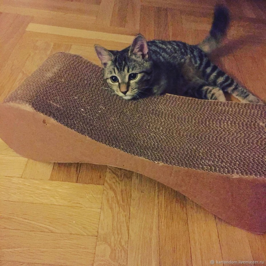 Картонный домик для кошек кот Картонович