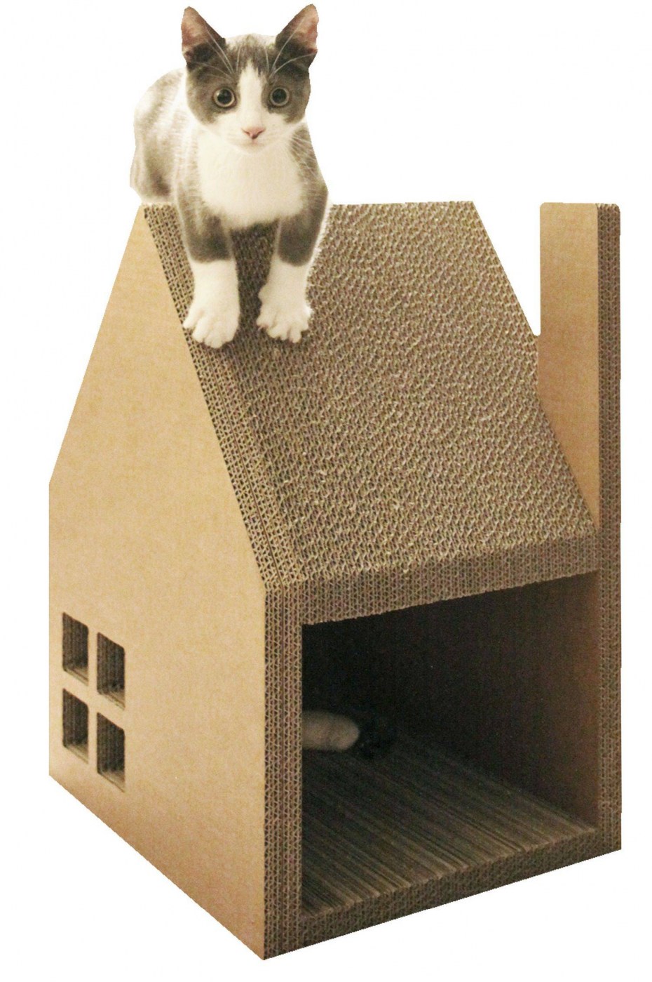 Картонный кубик кошка