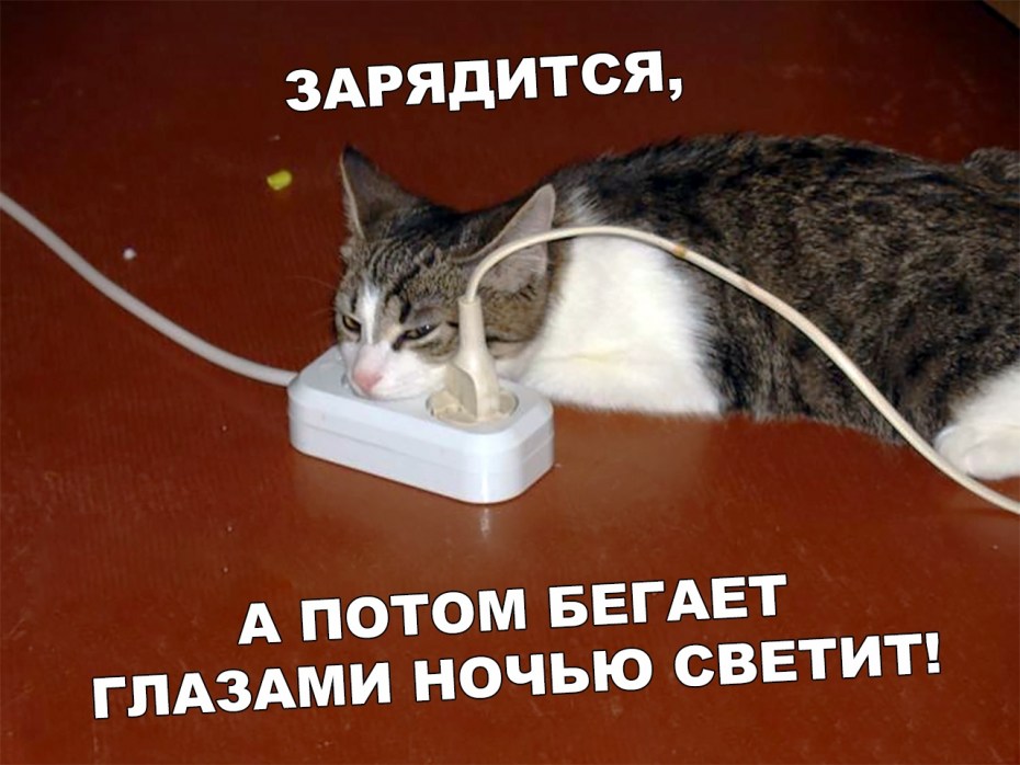 Кот перегрыз кабель