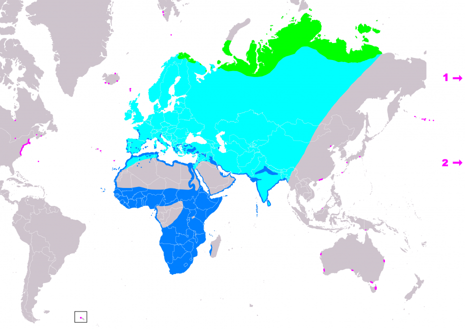 Ареал жители