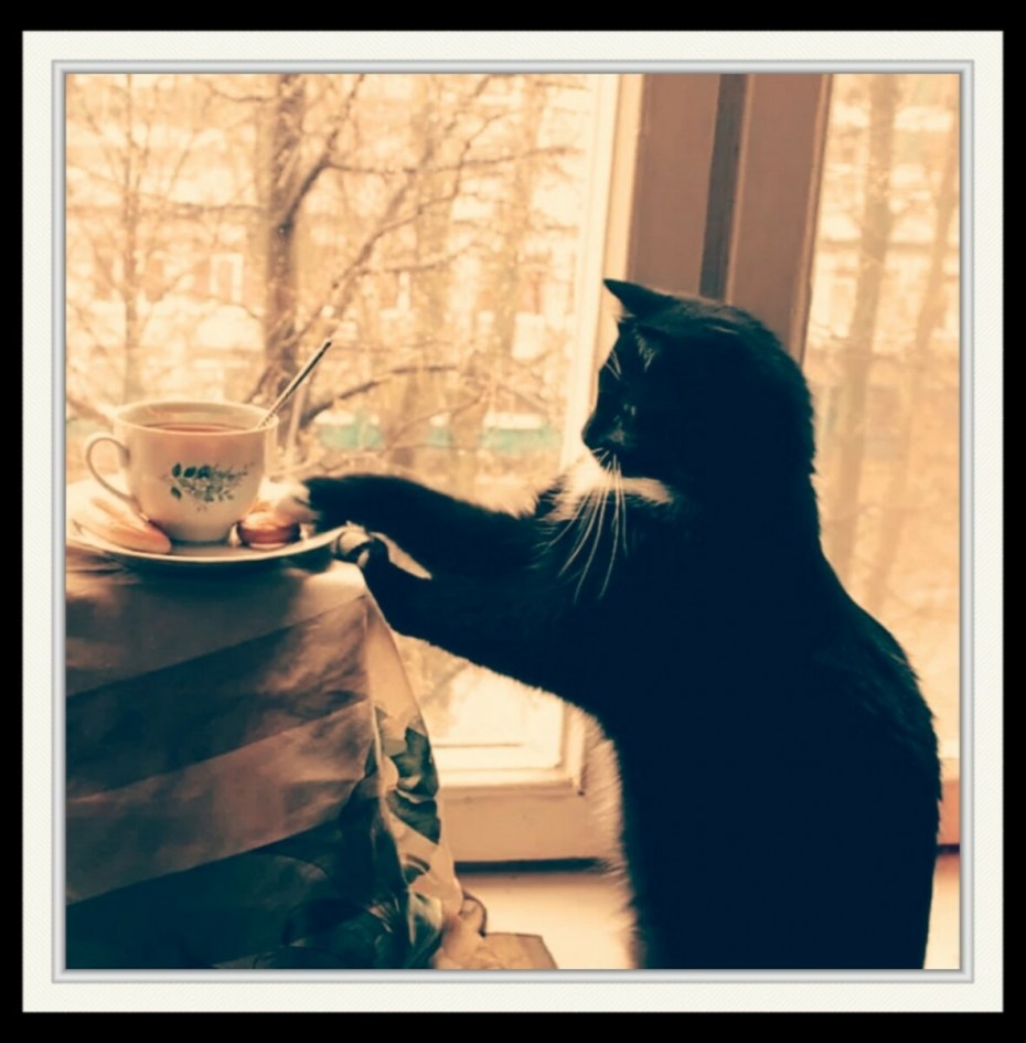 Художник Charles Wysocki коты
