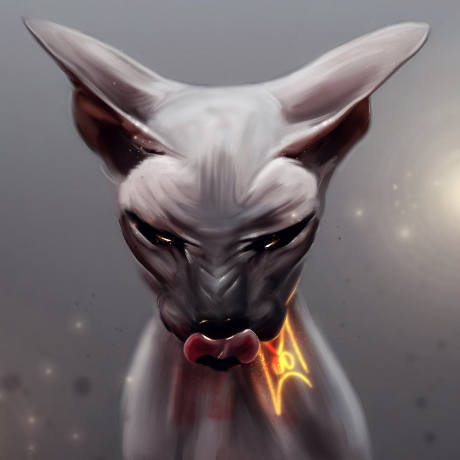 Сфинкс кот