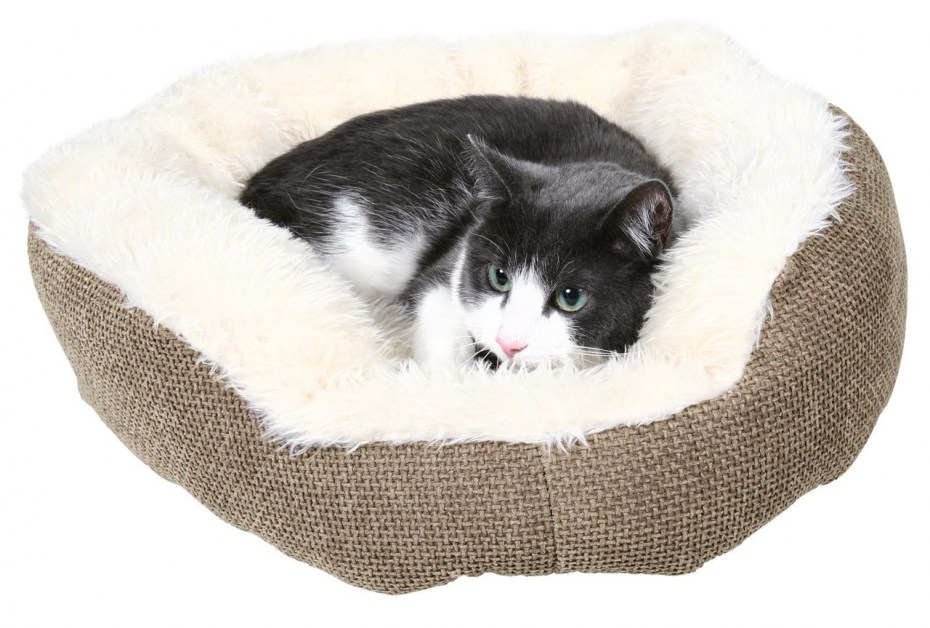 Лежанки для котят