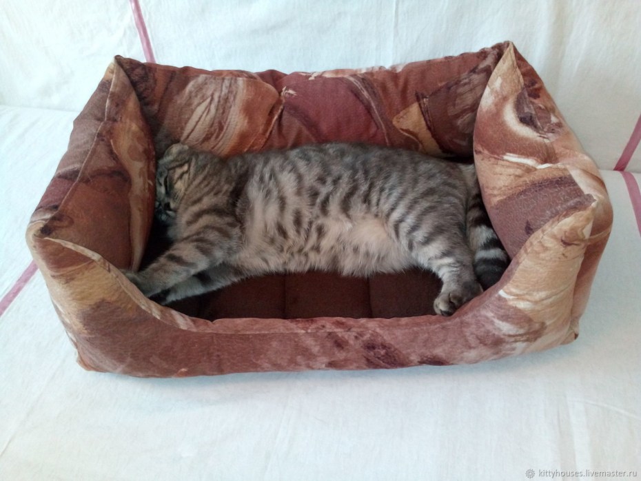 Кошачья лежанка из коробки