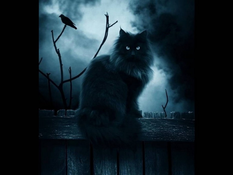 Готический кот