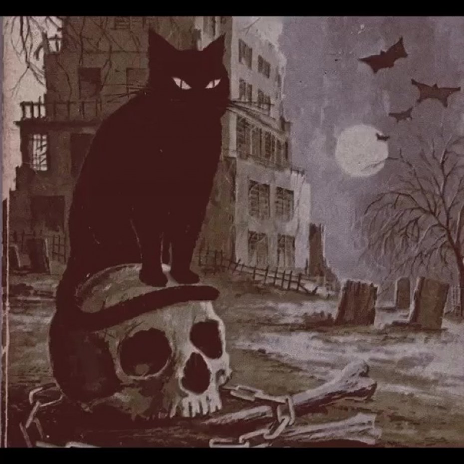 Черный котик коты Воители арт