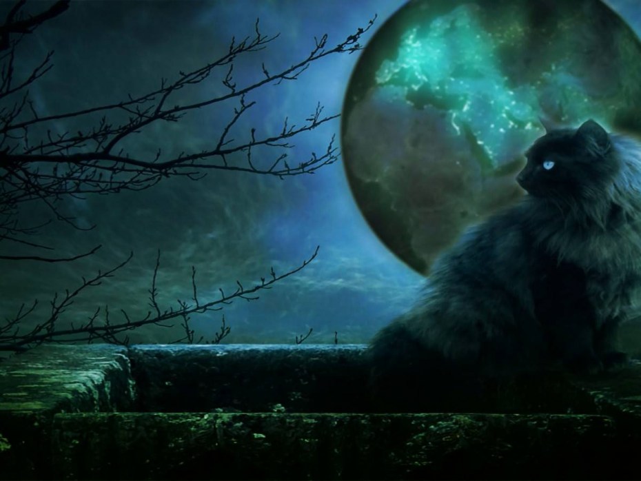 Гобболино – Ведьмин кот