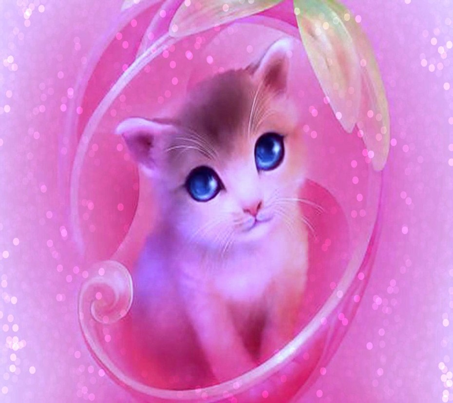 Розовая кошка