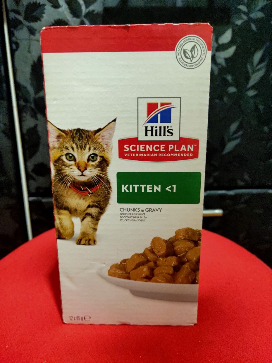 Коты любят кошачий корм