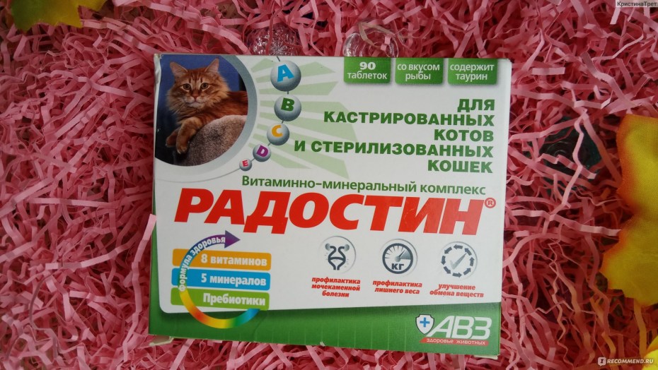 Мокрые корма для котят