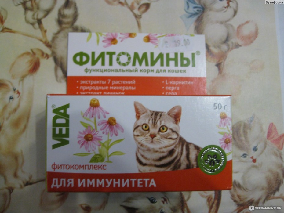 Фитомины гематокэт для котят-100 таб