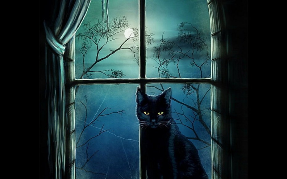 Кот в углу