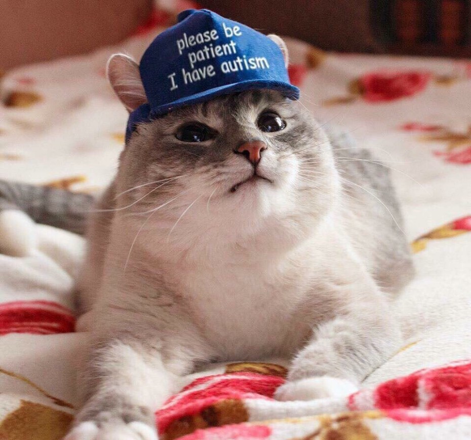 Кепка sorry i have Autism