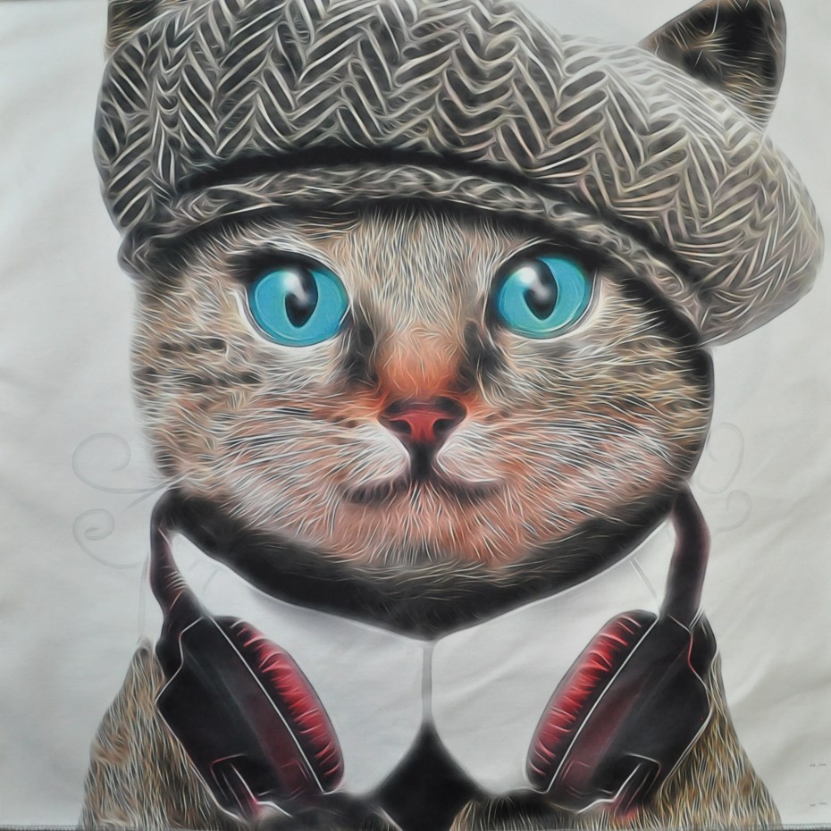 Котенок в кепке