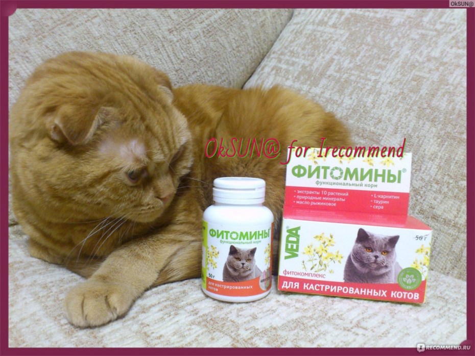 Уретростомия у кота ветеринарная