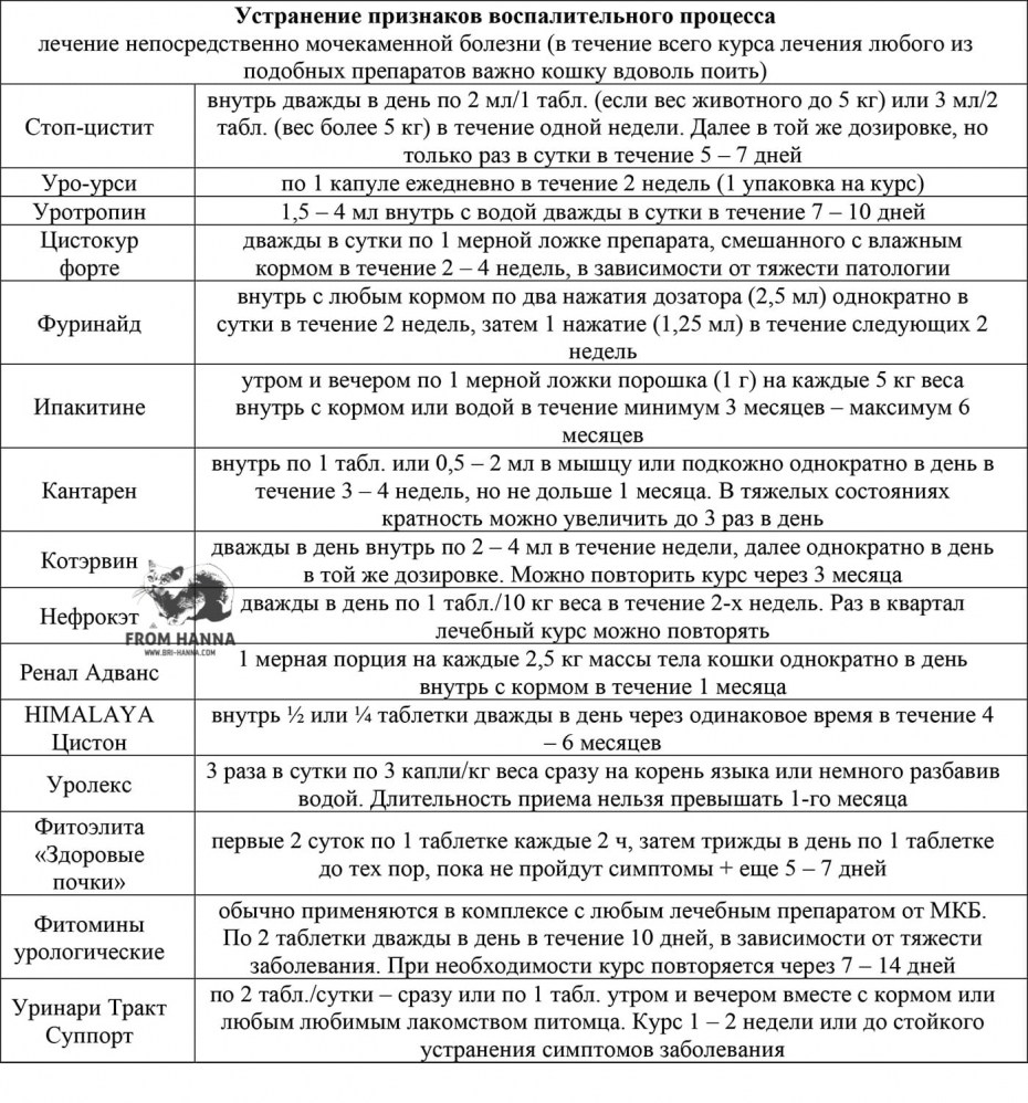 Паралич конечностей у кошек