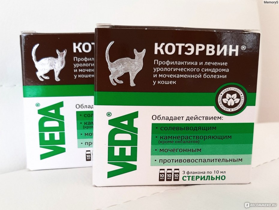 Мкб мочекаменная болезнь у кошек