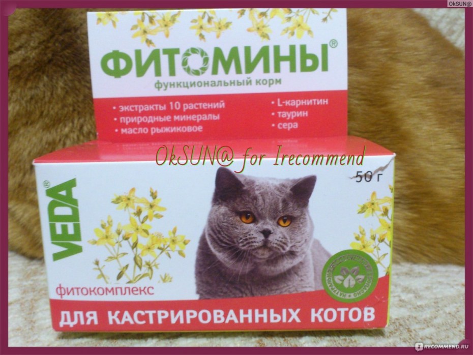 Промежностная уретростомия кота