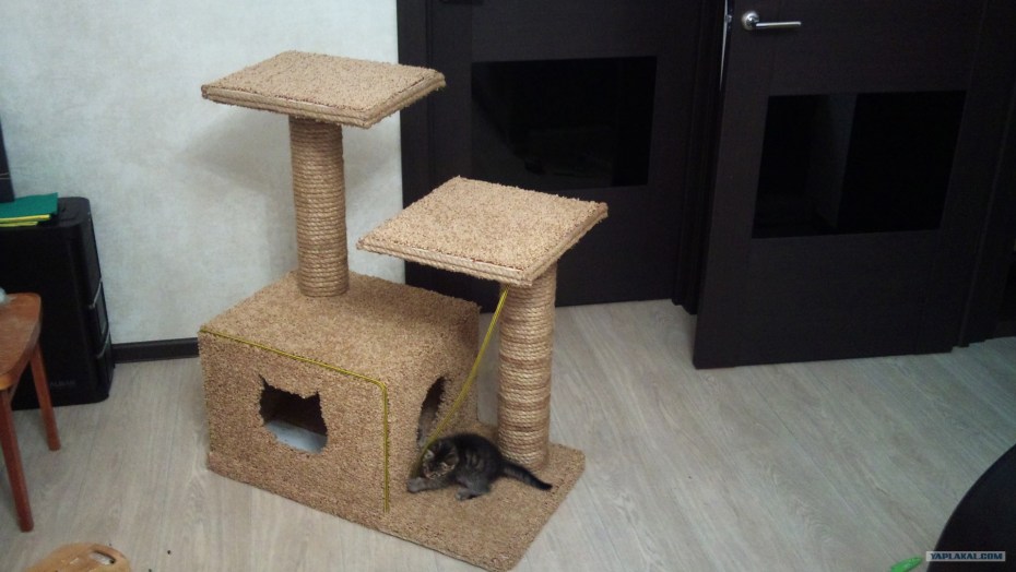 Дизайнерские домики для кошек